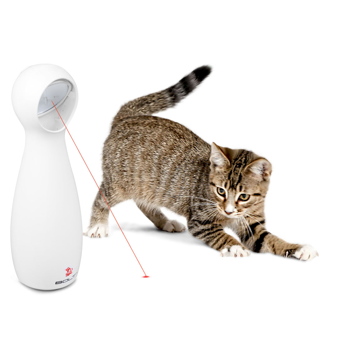 bolt laser cat toy not moving