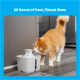 60 oz. Pet Fountain