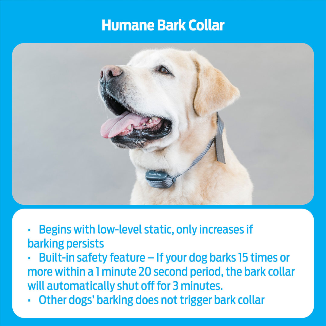 Webbing Dog Collar - If It Barks