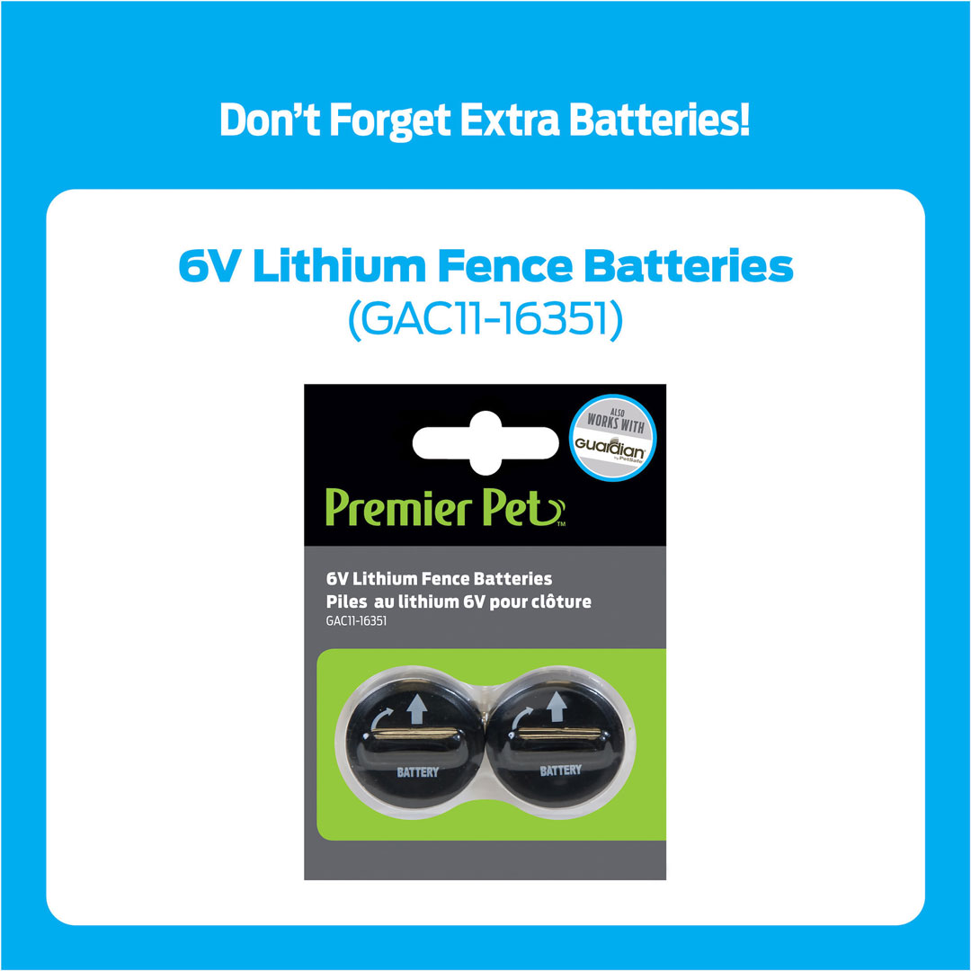 Invisible Fence Compatible batteries (10 Pack)